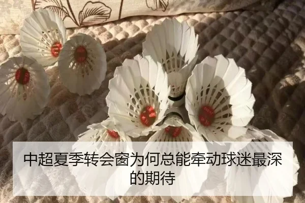 中超夏季转会窗为何总能牵动球迷最深的期待